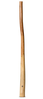 Wix Stix Didgeridoo (WS202)